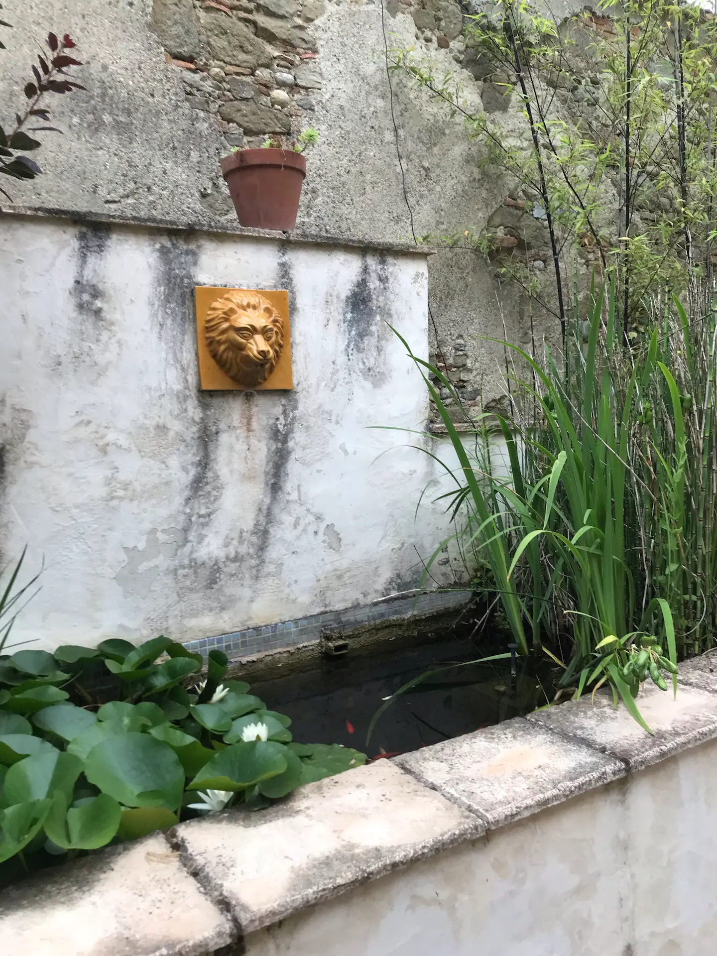 Courtyard pond